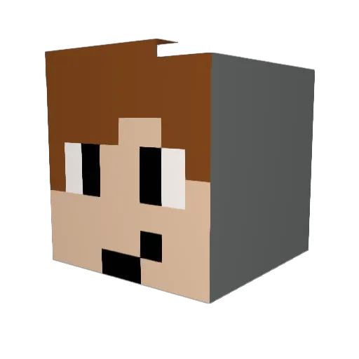 Dixem08 Minecraft avatar head, 3D render