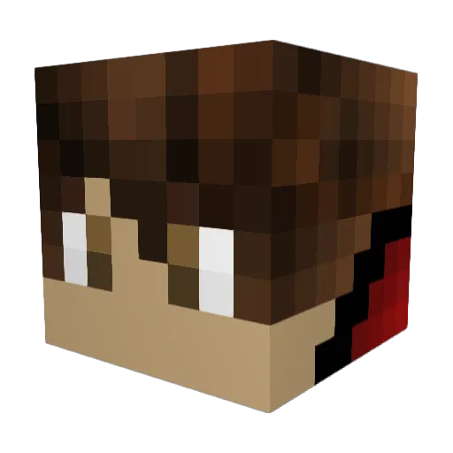 Dixer0706 Minecraft avatar head, 3D render