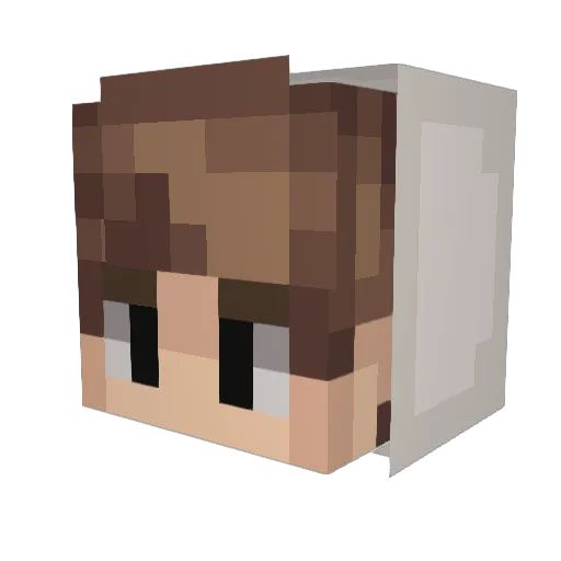 Dixer Minecraft avatar head, 3D render