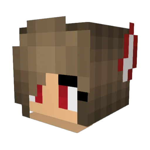 DixieDoo Minecraft avatar head, 3D render