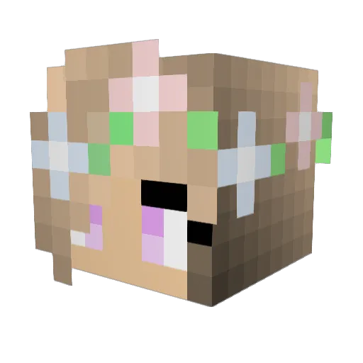DixieLove11 Minecraft avatar head, 3D render
