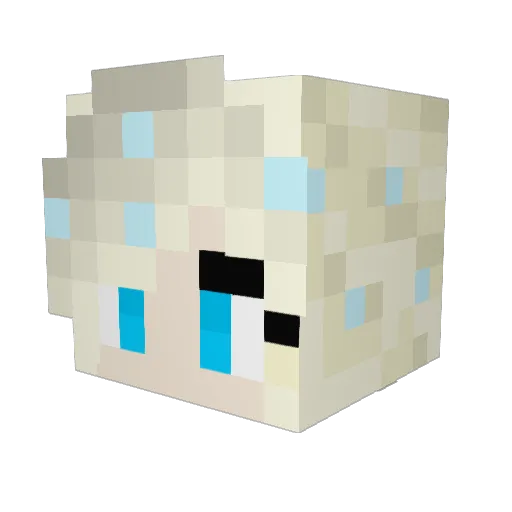 DixonKid23 Minecraft avatar head, 3D render