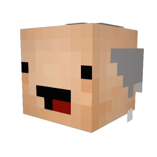 DizinL Minecraft avatar head, 3D render