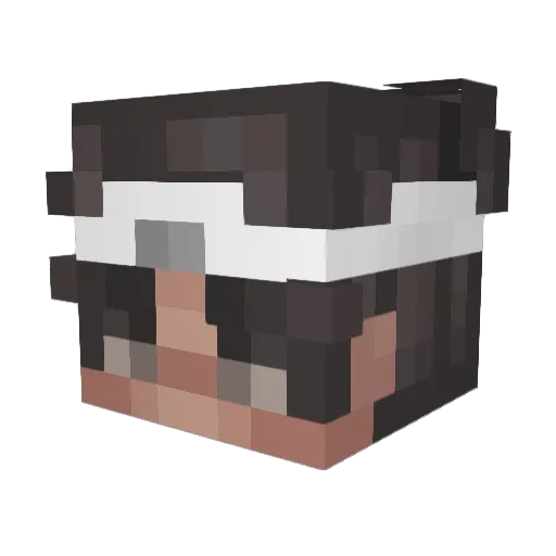 Dizlyk Minecraft avatar head, 3D render