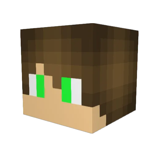 Diznogame Minecraft avatar head, 3D render