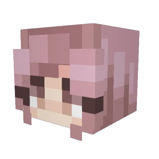 Dizz00000 Minecraft avatar head, 3D render