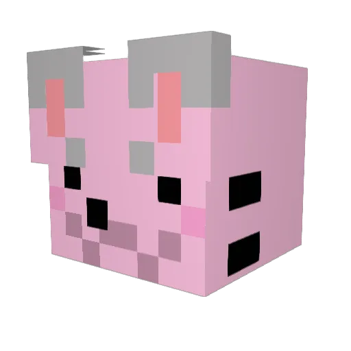 DizzieKizzie Minecraft avatar head, 3D render