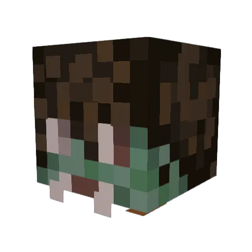 Dizziz Minecraft avatar head, 3D render