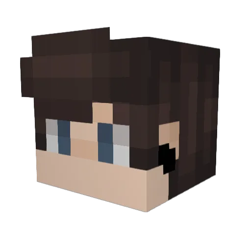 DizzleAlt11 Minecraft avatar head, 3D render