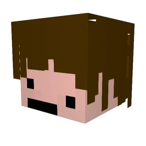 Dizzy Minecraft avatar head, 3D render