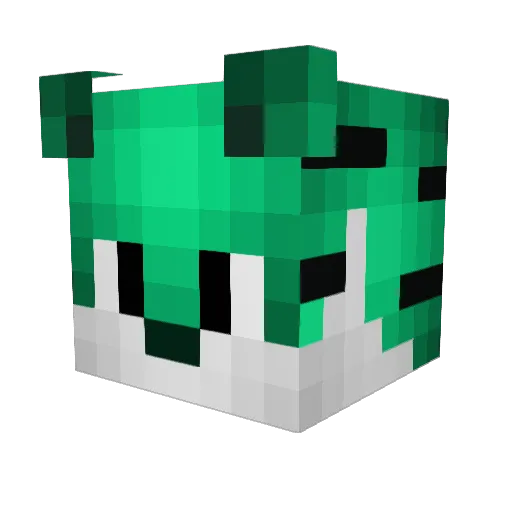 DizzyDilemma Minecraft avatar head, 3D render