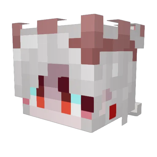 DizzyDrDashie Minecraft avatar head, 3D render
