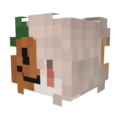 DizzyLem0ns Minecraft avatar head, 3D render