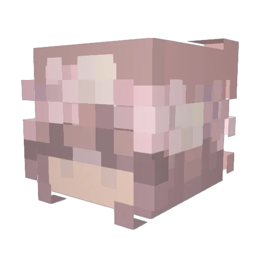 DizzyNizzy Minecraft avatar head, 3D render