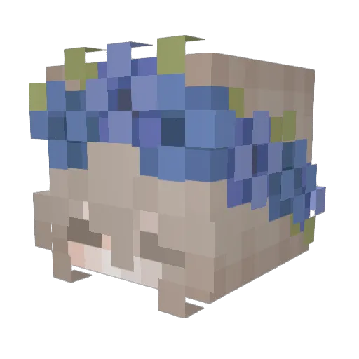 DizzyRainbow Minecraft avatar head, 3D render