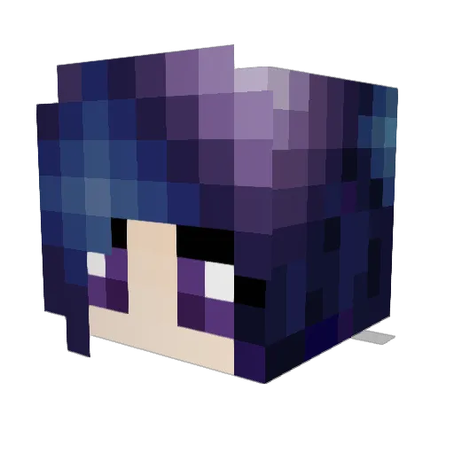 DizzySkunky Minecraft avatar head, 3D render