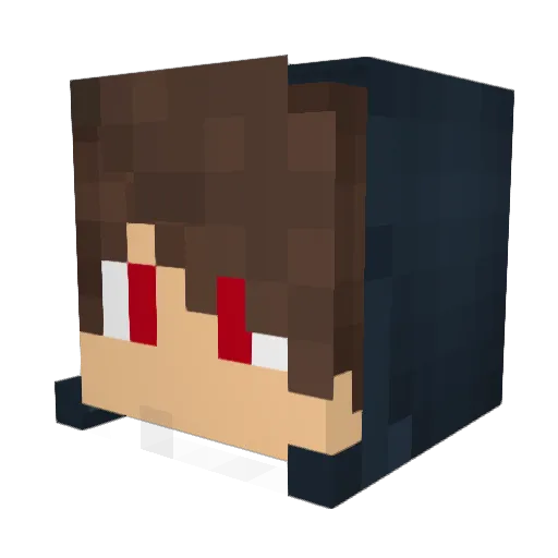 Dizzy_911 Minecraft avatar head, 3D render