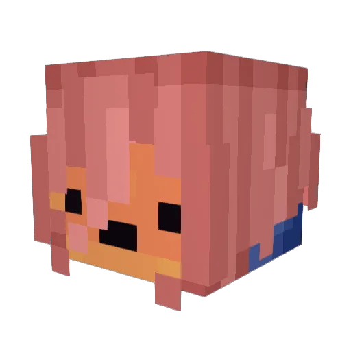 Dizzy_Mango Minecraft avatar head, 3D render