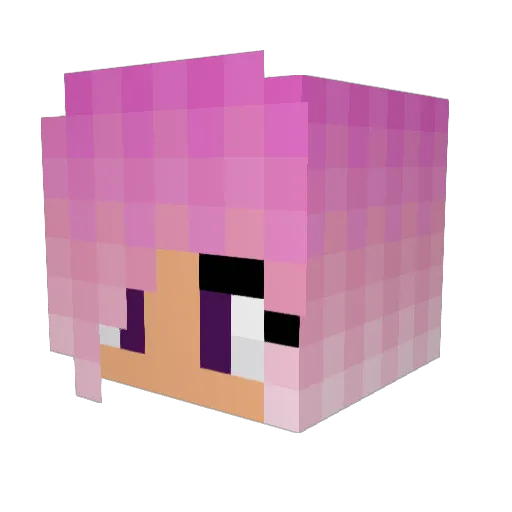 Dizzybee Minecraft avatar head, 3D render