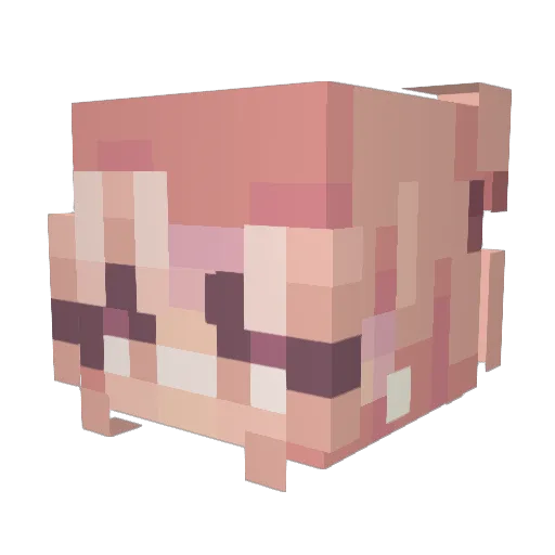 Dizzyduck0512 Minecraft avatar head, 3D render