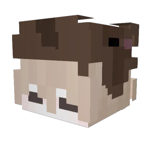 Dizzyy69 Minecraft avatar head, 3D render