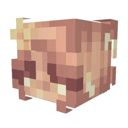 Dj3nky Minecraft avatar head, 3D render