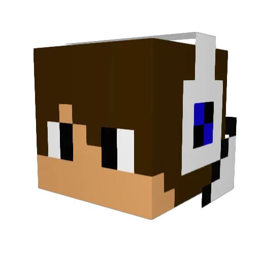 DjColoInDaHouse Minecraft avatar head, 3D render