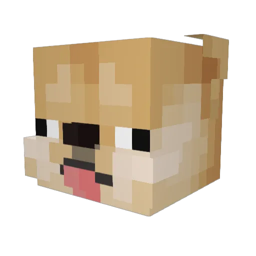 DjDanii Minecraft avatar head, 3D render