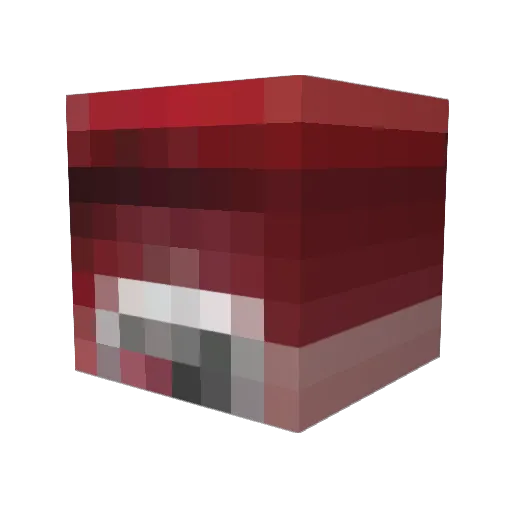 DjEjderha Minecraft avatar head, 3D render