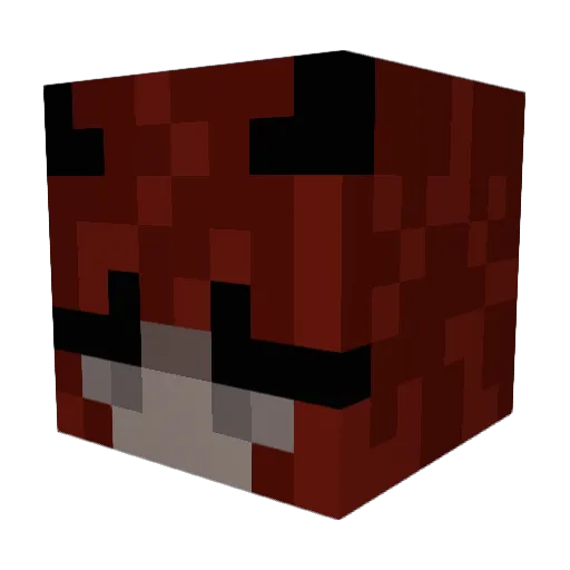DjHailie1 Minecraft avatar head, 3D render