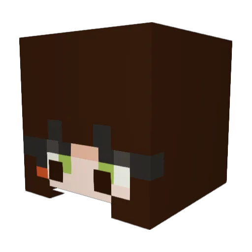DjRodriguinho Minecraft avatar head, 3D render