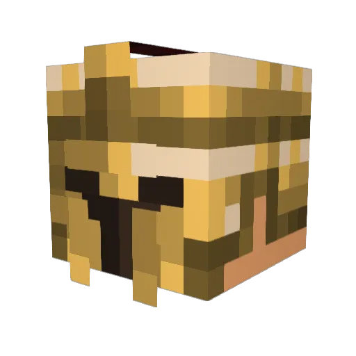 DjTykv Minecraft avatar head, 3D render