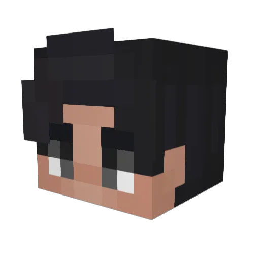 DjWilli Minecraft avatar head, 3D render