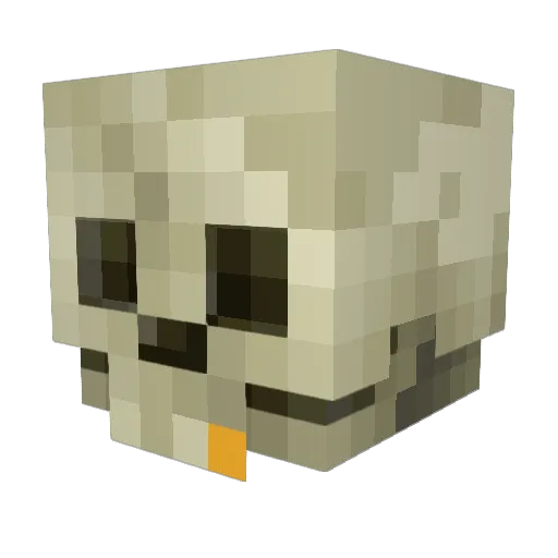 DjYoloSwag Minecraft avatar head, 3D render