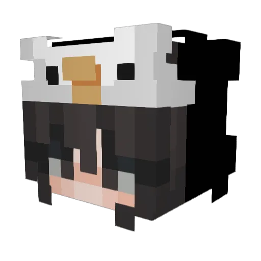 Dj_Bobo69 Minecraft avatar head, 3D render