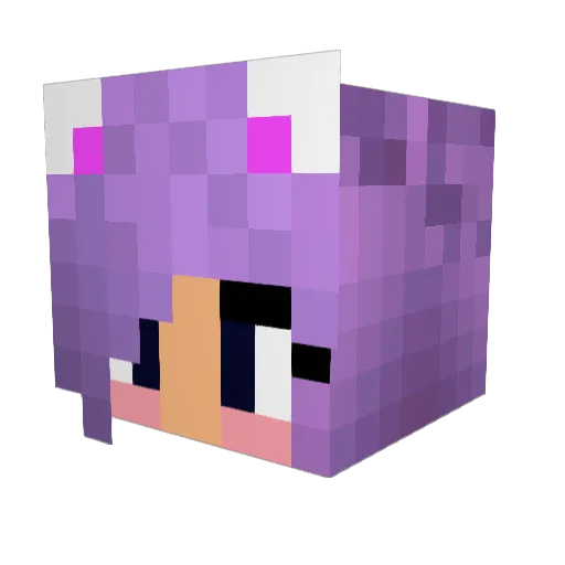 Dj_Trist Minecraft avatar head, 3D render