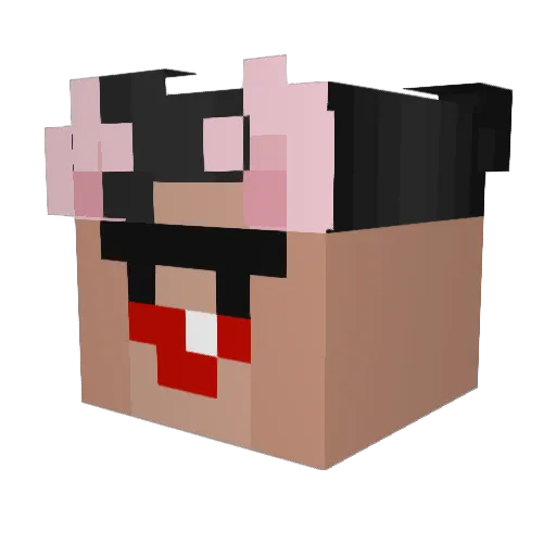 DjagaDjagaMan Minecraft avatar head, 3D render