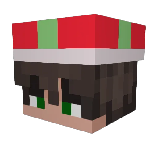 Djames6111 Minecraft avatar head, 3D render