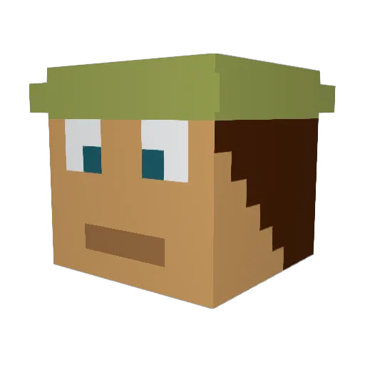 DjangD Minecraft avatar head, 3D render