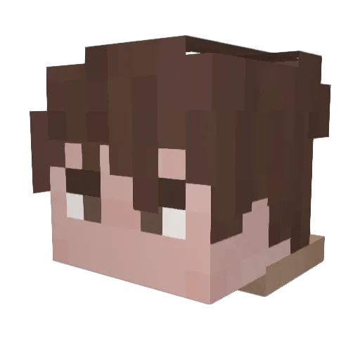 Djangle21 Minecraft avatar head, 3D render