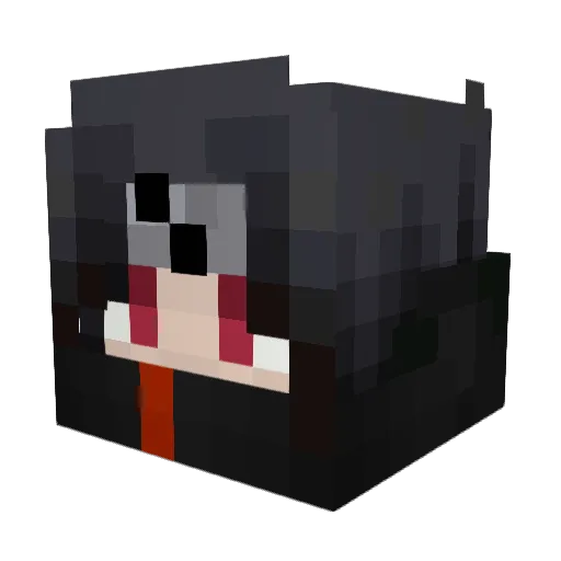 Django0902 Minecraft avatar head, 3D render