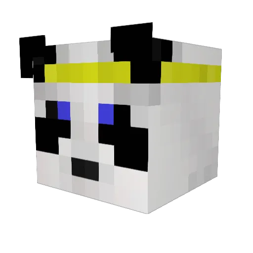 Djbanane Minecraft avatar head, 3D render