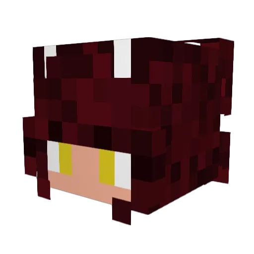 Djdexterexe Minecraft avatar head, 3D render