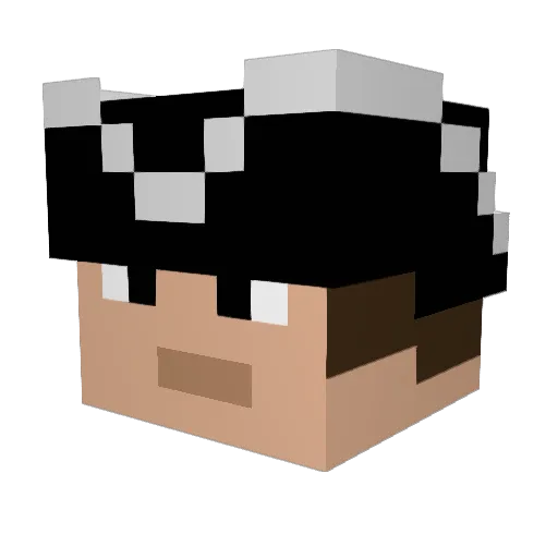 Djeinstein009 Minecraft avatar head, 3D render