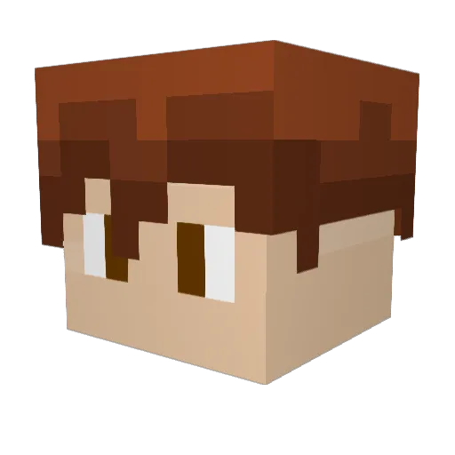 Djelaylay Minecraft avatar head, 3D render