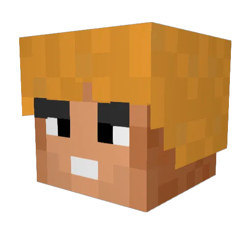 Djernis Minecraft avatar head, 3D render