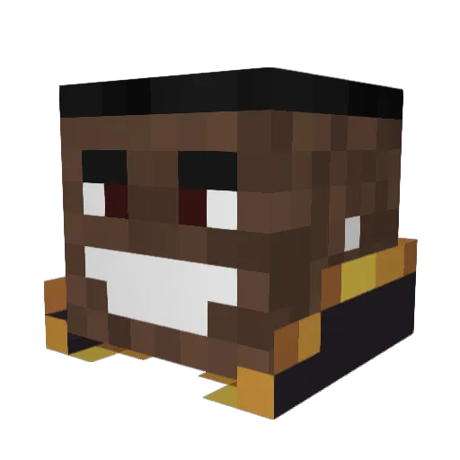 Djfuraxe Minecraft avatar head, 3D render