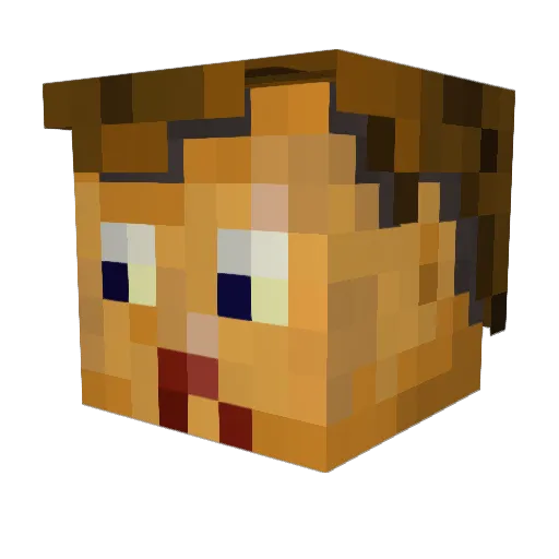 Djg1 Minecraft avatar head, 3D render