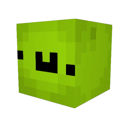 Djipoudou Minecraft avatar head, 3D render