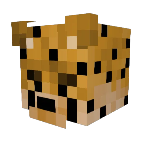 Djmikeygargar Minecraft avatar head, 3D render